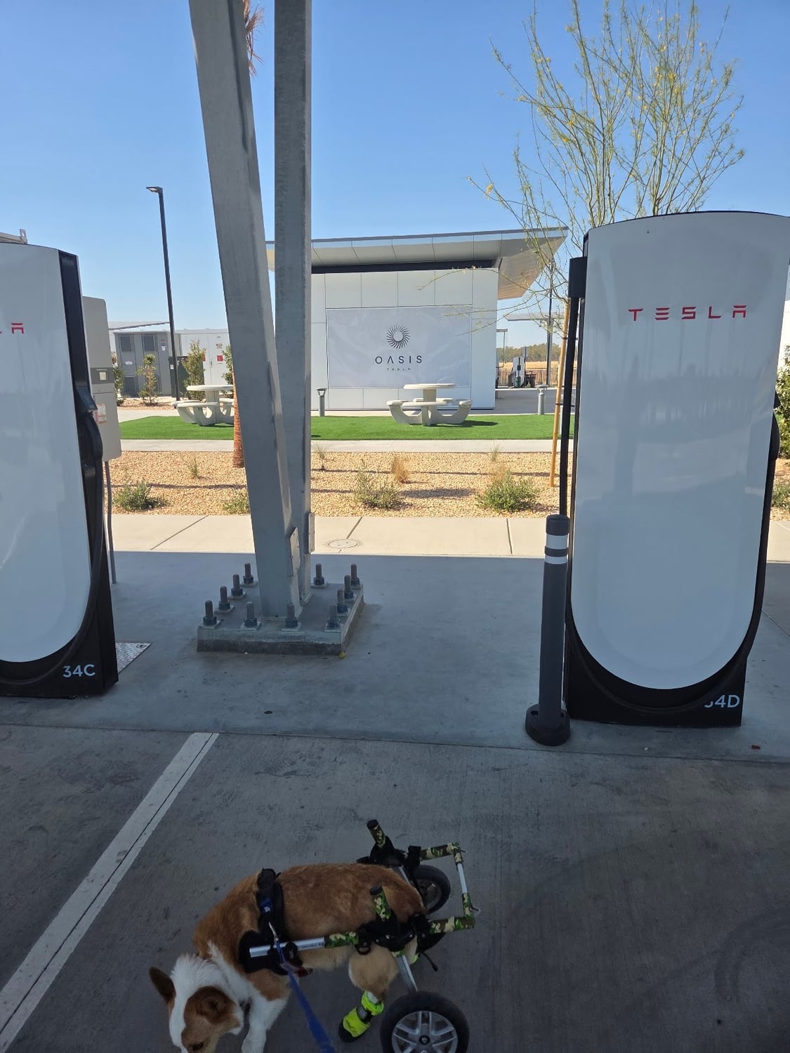 Photo of Lost Hills, Ca Supercharger