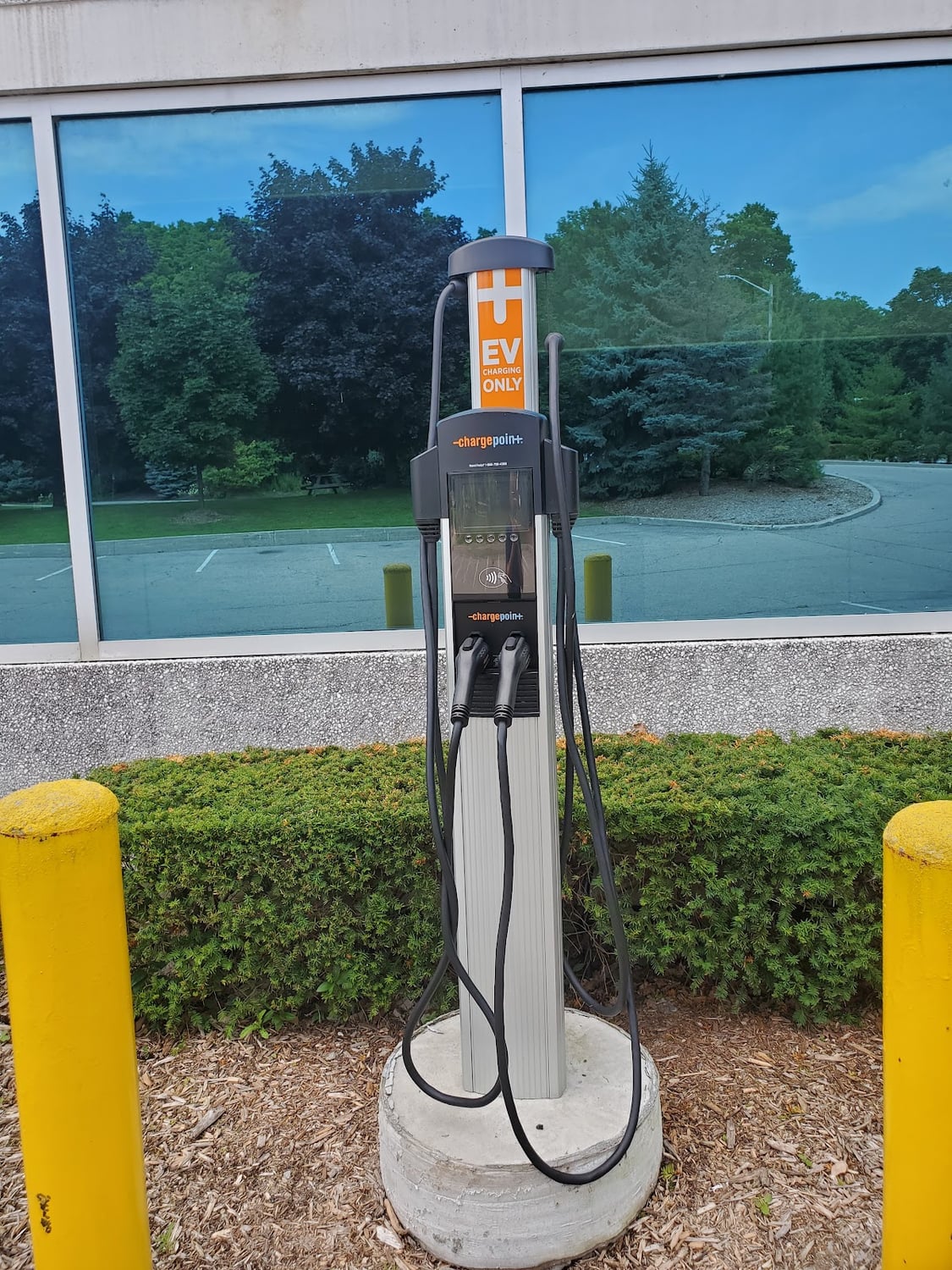 Photo of Ozz Electric