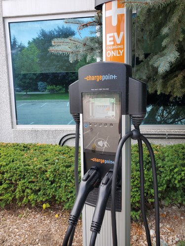 Photo of Ozz Electric