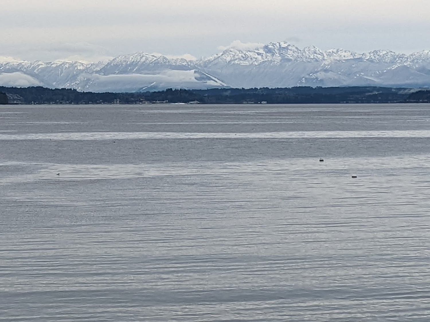 Photo of King County Des Fleet